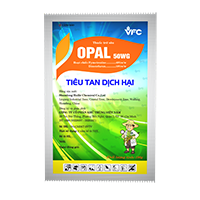 OPAL 50WG